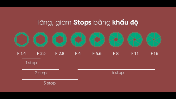 video_24c_1749719627