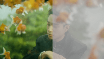 video_24c_1749723722